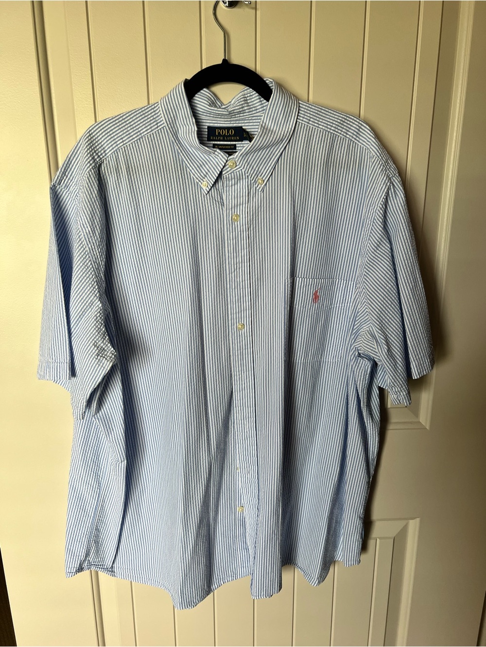 Polo by Ralph Lauren Light Blue and White Pinstripe Button-Down Shirt